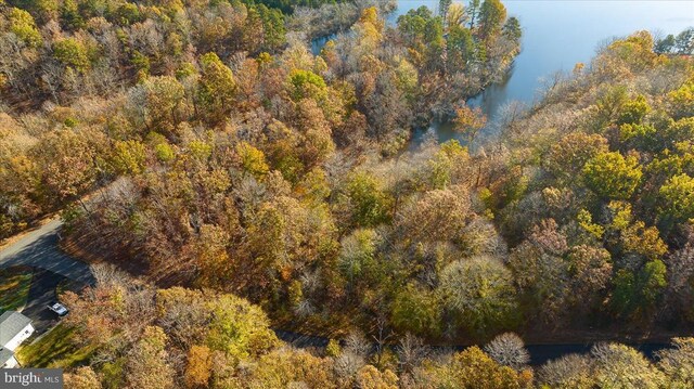 13 Glen Eagles Dr, Gordonsville, VA 22942 - photo 36
