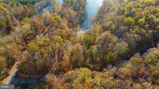 13 Glen Eagles Dr, Gordonsville, VA 22942 - photo 37