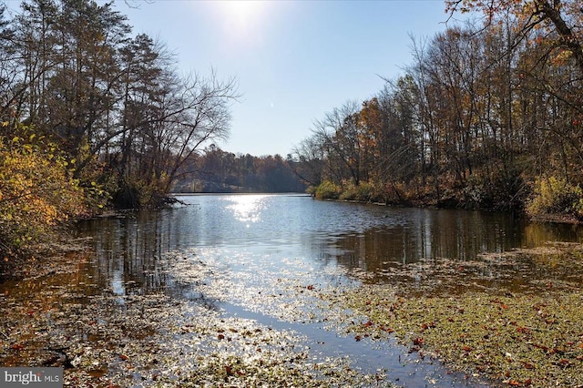 13 Glen Eagles Dr, Gordonsville, VA 22942 - photo 4