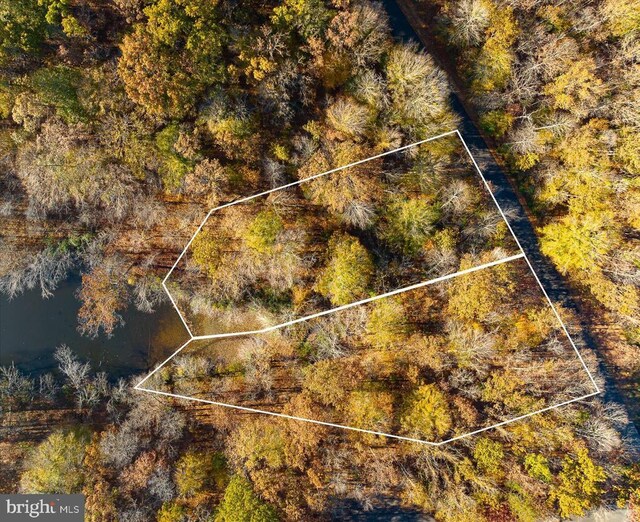 13 Glen Eagles Dr, Gordonsville, VA 22942 - photo 40
