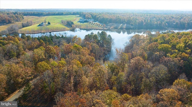 13 Glen Eagles Dr, Gordonsville, VA 22942 - photo 35