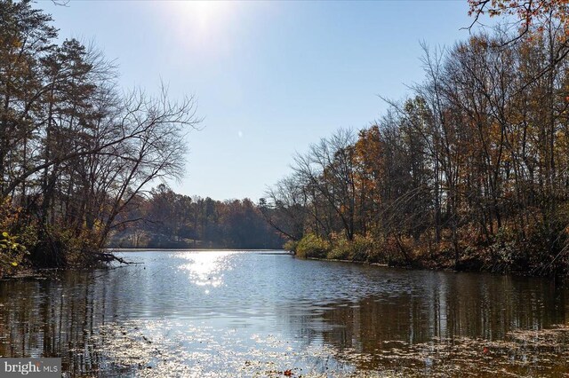 13 Glen Eagles Dr, Gordonsville, VA 22942 - photo 9