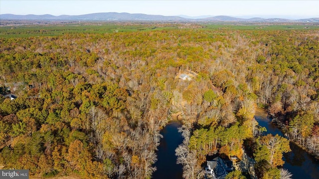 13 Glen Eagles Dr, Gordonsville, VA 22942 - photo 50