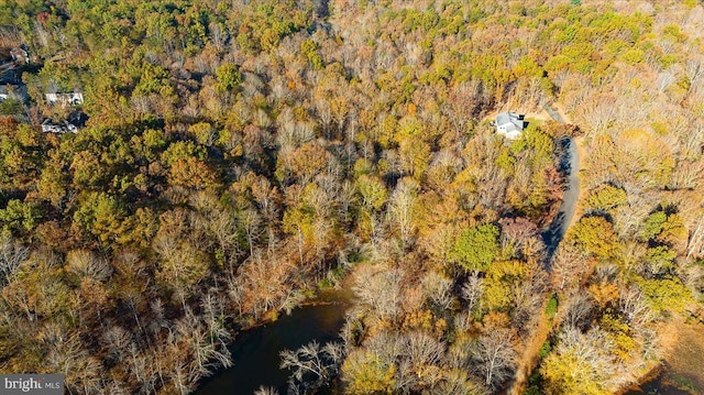13 Glen Eagles Dr, Gordonsville, VA 22942 - photo 52