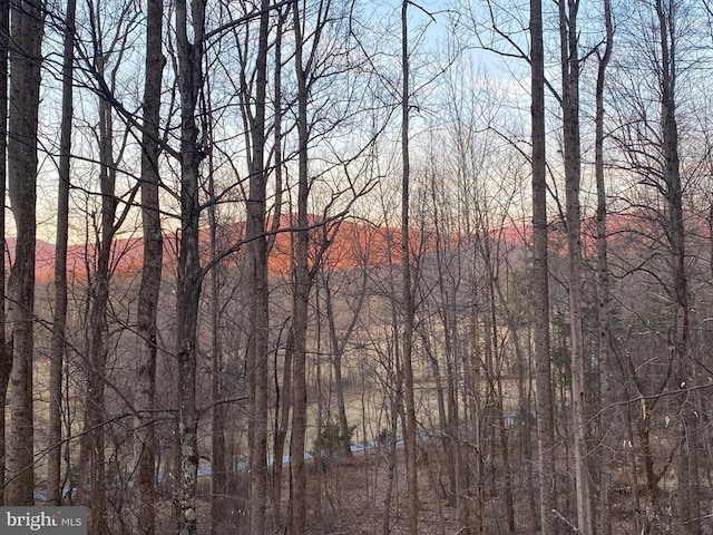 1215 Kinderhook Rd, Madison, VA 22727 - water view featuring a forest