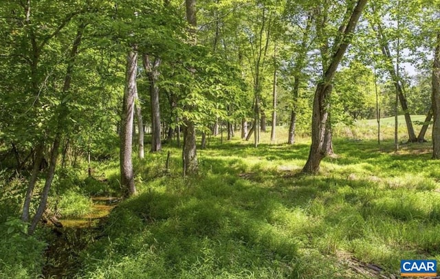 LOT4 Club Dr, Keswick, VA 22947 - photo 2