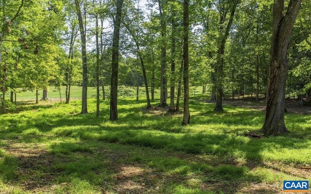 LOT4 Club Dr, Keswick, VA 22947 - photo 3