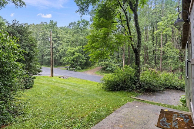 8196 Bow Bender Ln, Singers Glen, VA 22850 - view of green lawn with a wooded view