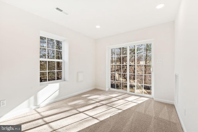 206 Seclusion Shores Dr, Mineral, VA 23117 - carpeted spare room featuring baseboards and recessed lighting
