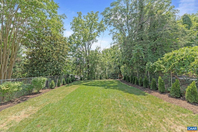1108 E Jefferson St, Charlottesville, VA 22902 - view of yard