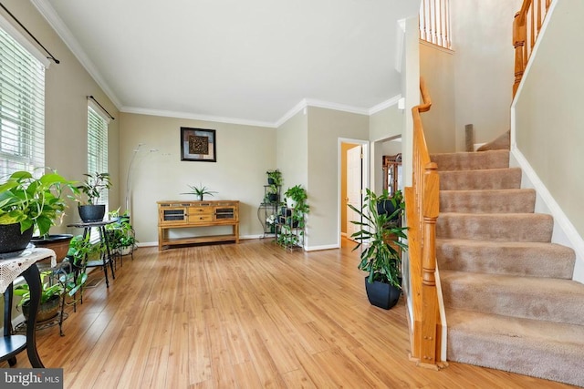 230 Whitworth Dr, Culpeper, VA 22701 - photo 4