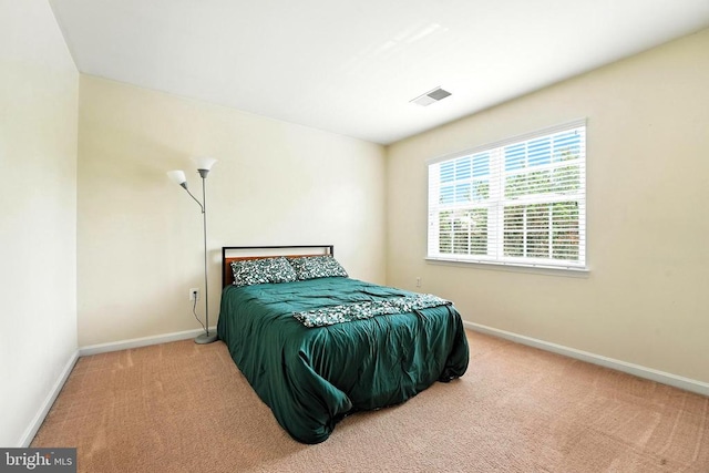 230 Whitworth Dr, Culpeper, VA 22701 - photo 30
