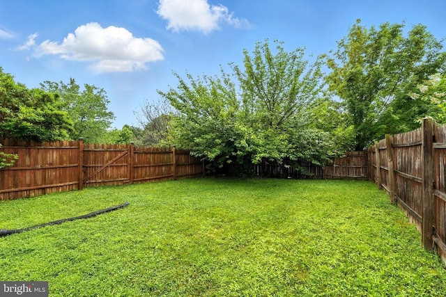 230 Whitworth Dr, Culpeper, VA 22701 - photo 42