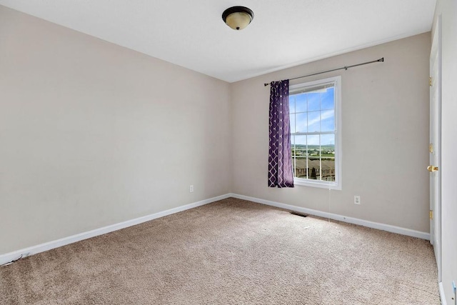 255 Jericho Rd, Rockingham, VA 22801 - photo 22