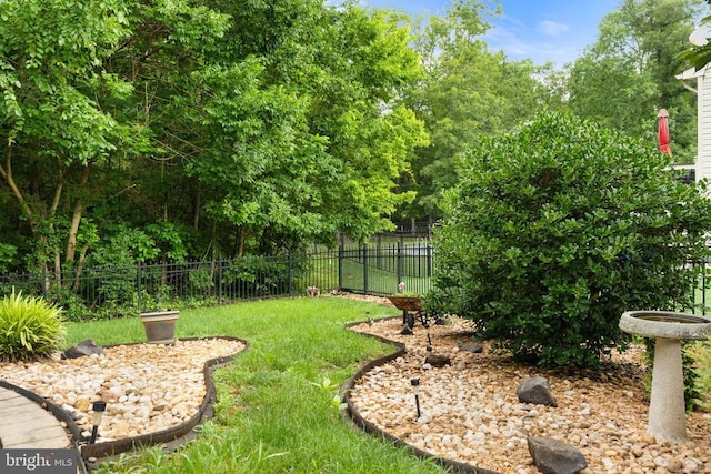  - view of yard