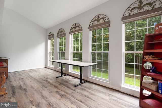  - unfurnished dining area with lofted ceiling, wood finished floors, and plenty of natural light