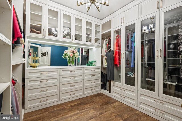 519 Cardinal Ln, Warrenton, VA 20186 - spacious closet featuring a chandelier and dark wood-style flooring