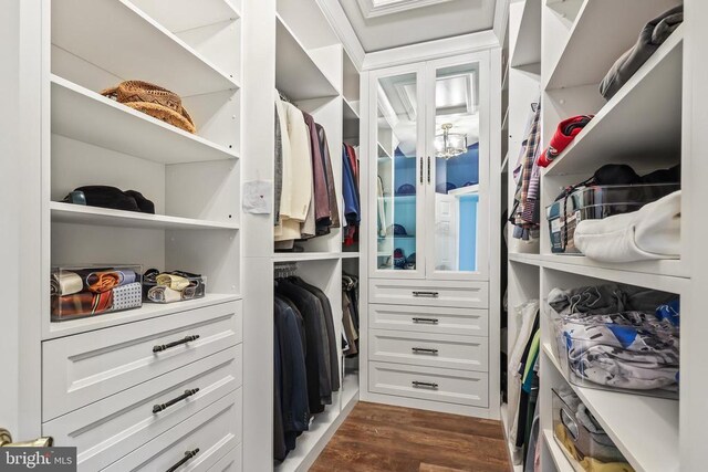 519 Cardinal Ln, Warrenton, VA 20186 - walk in closet featuring dark wood-style flooring