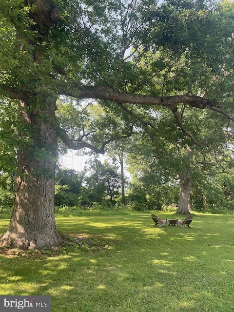  - view of grassy yard featuring view of wooded area