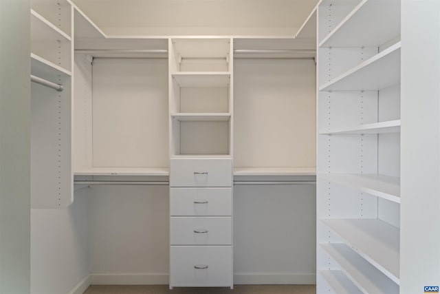 view of spacious closet