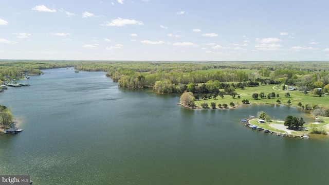 3704 Elk Creek Rd, Mineral, VA 23117 - birds eye view of property featuring a water view and a forest view