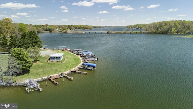 3704 Elk Creek Rd, Mineral, VA 23117 - exterior space featuring a dock