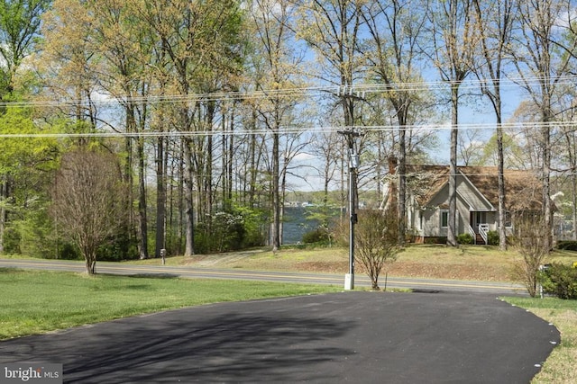 3704 Elk Creek Rd, Mineral, VA 23117 - view of road