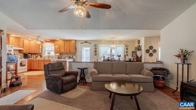 2273 Bloomer Springs Rd, Mcgaheysville, VA 22840 - living room featuring ceiling fan, light wood-style flooring, a textured ceiling, and baseboards