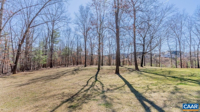 2273 Bloomer Springs Rd, Mcgaheysville, VA 22840 - view of yard