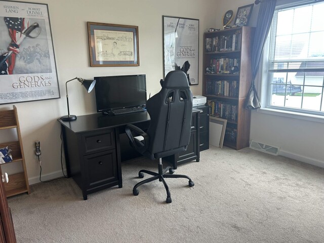 135 Clara Ct, Harrisonburg, VA 22802 - office featuring plenty of natural light, light carpet, and baseboards