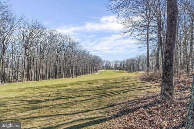 688 Shamokin Springs Trl, Central, VA 22958