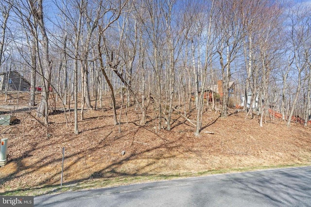 688 Shamokin Springs Trl, Central, VA 22958