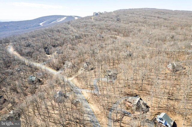 688 Shamokin Springs Trl, Central, VA 22958