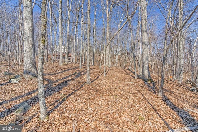 688 Shamokin Springs Trl, Central, VA 22958