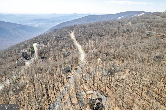 688 Shamokin Springs Trl, Central, VA 22958
