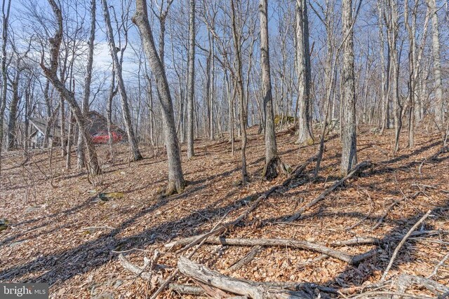 688 Shamokin Springs Trl, Central, VA 22958