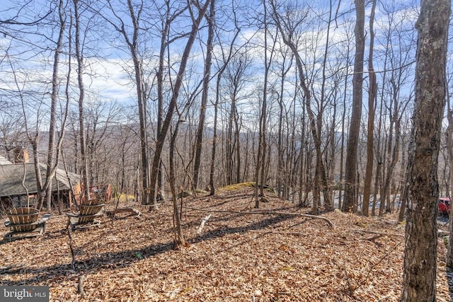 688 Shamokin Springs Trl, Central, VA 22958