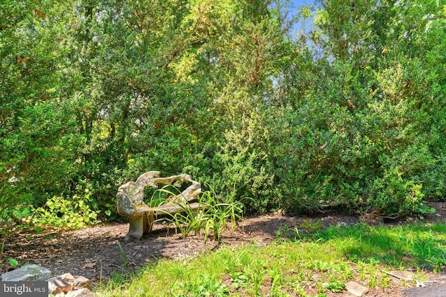  - photo 57