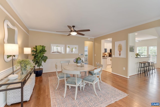 dining space with crown molding, ceiling fan, and light wood-type flooring