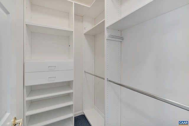 view of walk in closet