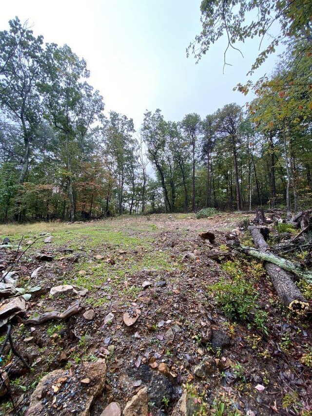 TBD Panorama View Dr, Stanley, VA 22851