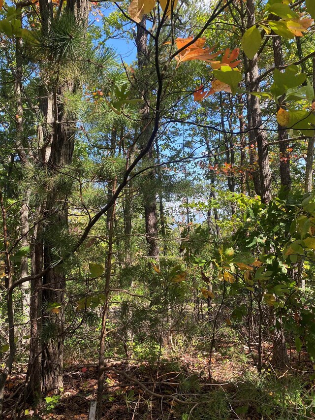 TBD Panorama View Dr, Stanley, VA 22851