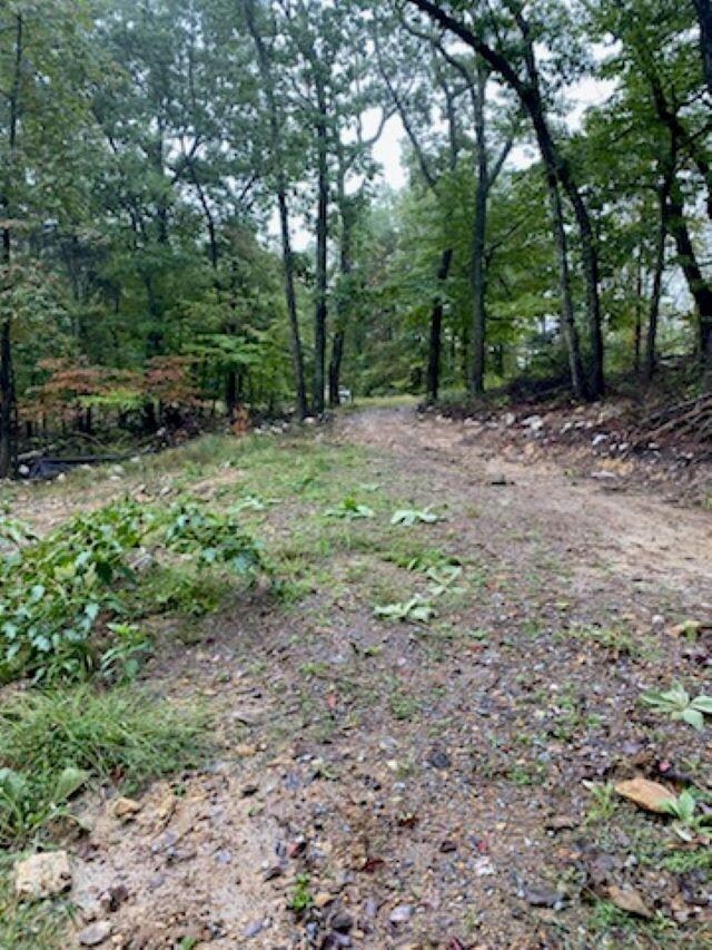 TBD Panorama View Dr, Stanley, VA 22851