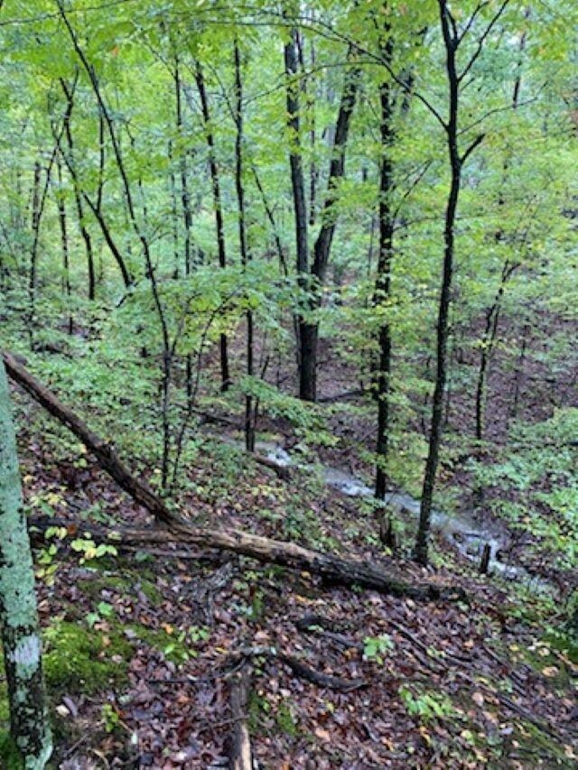 TBD Panorama View Dr, Stanley, VA 22851