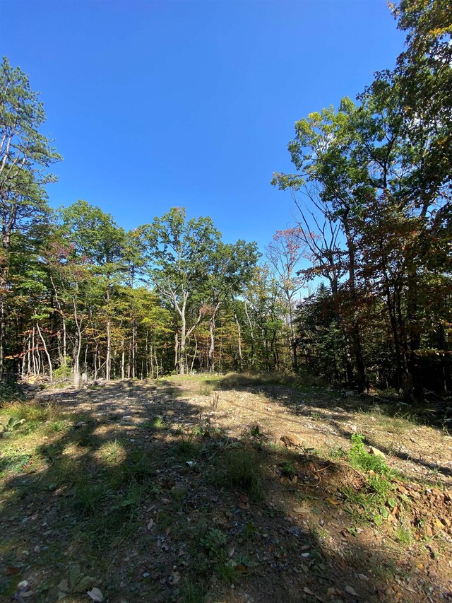 TBD Panorama View Dr, Stanley, VA 22851