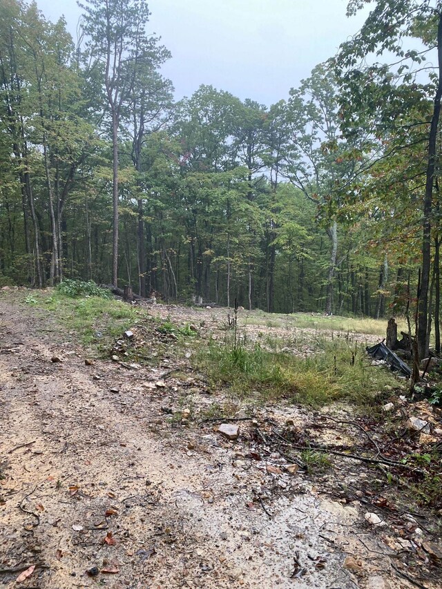 TBD Panorama View Dr, Stanley, VA 22851