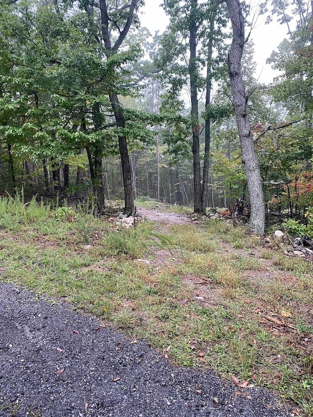 TBD Panorama View Dr, Stanley, VA 22851