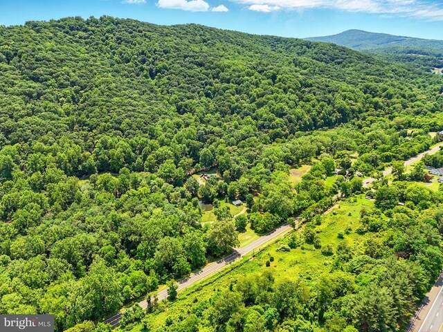  - drone / aerial view of a forest and a mountain backdrop