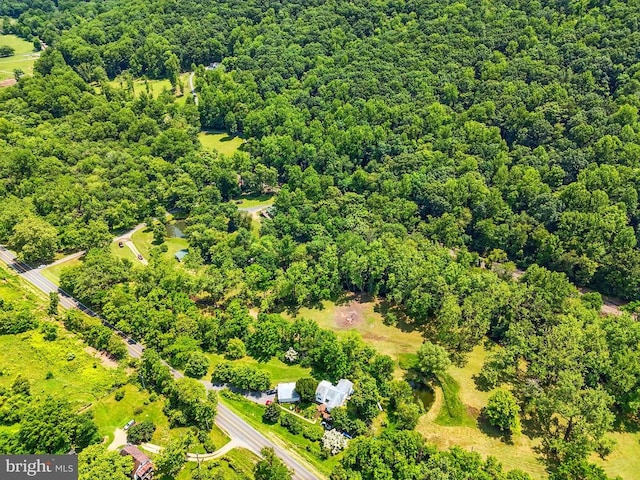  - bird's eye view of a forest