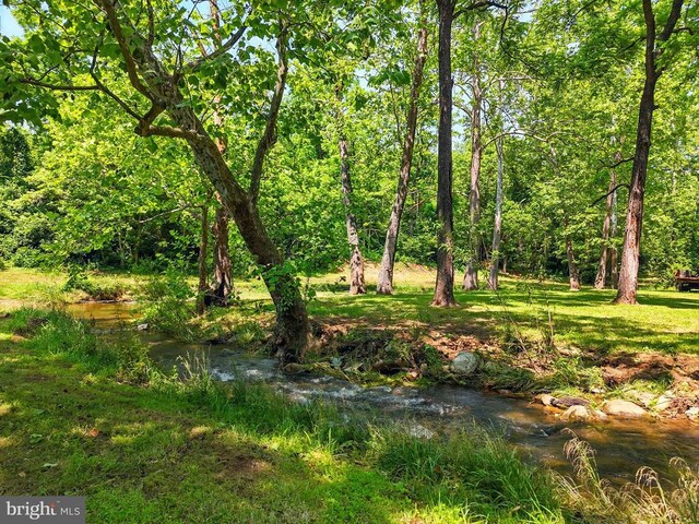  - view of local wilderness
